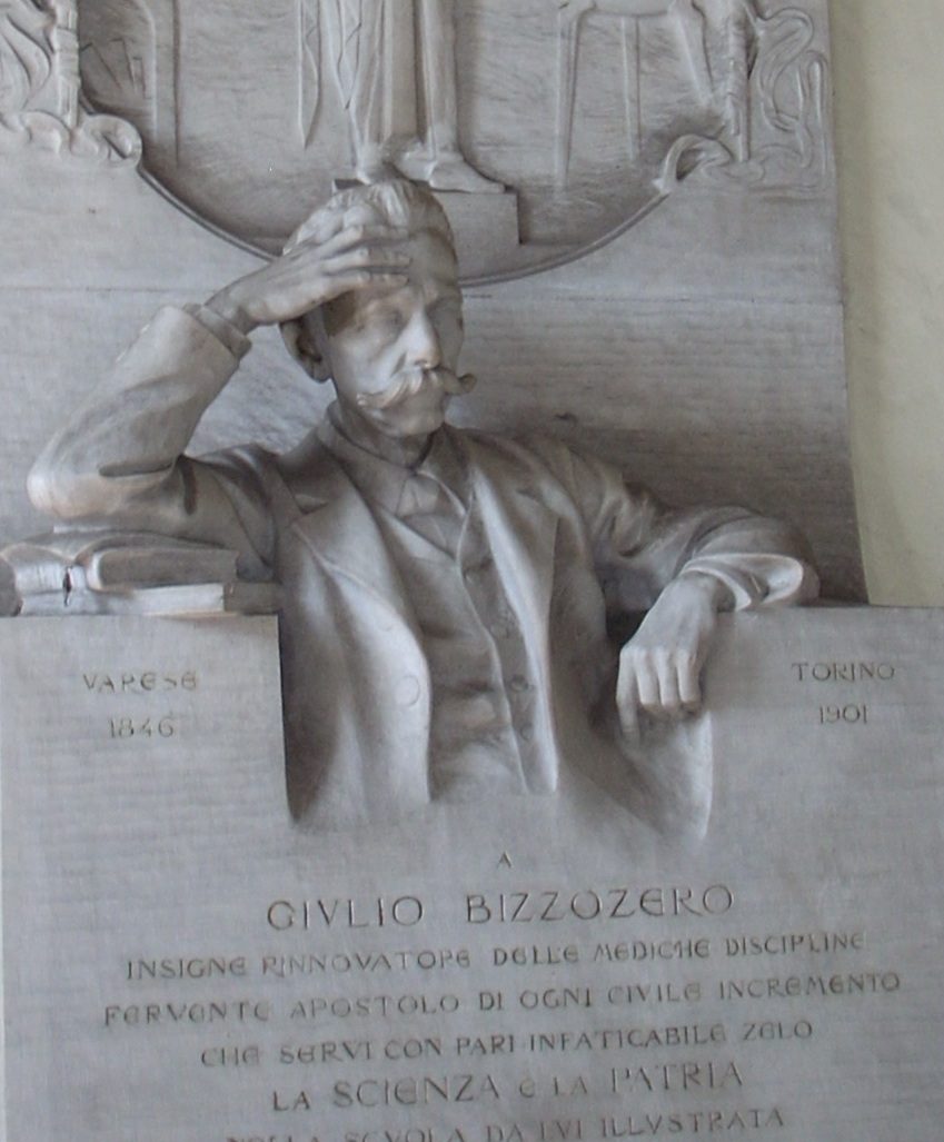 Giulio Bizzozero s monument, Turin, Italy - 03.JPG